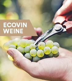 Ecovin Weine