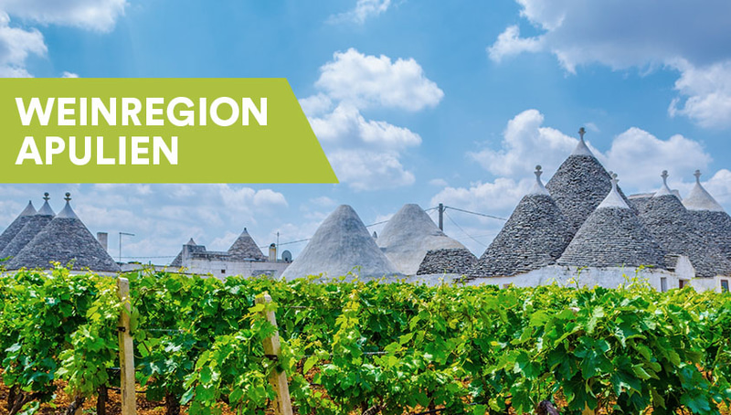 Weinregion Apulien