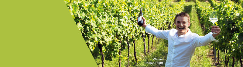 Winzer Roman Pfaffl im Weinberg