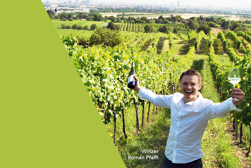 Winzer Roman Pfaffl im Weinberg
