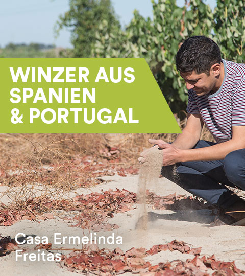 Winzer aus Spanien und Portugal