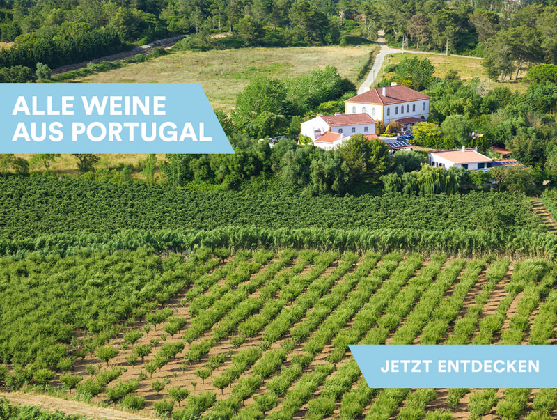 Alle Weine aus Portugal