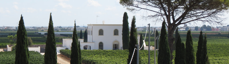 Rocca Region