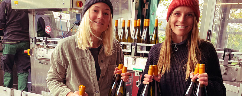 bevandert bei der Weinabfüllung von Abendläuten