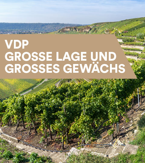 VDP Große Lage und Große Gewächse