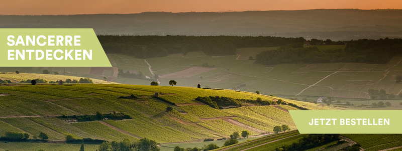 Sancerre 