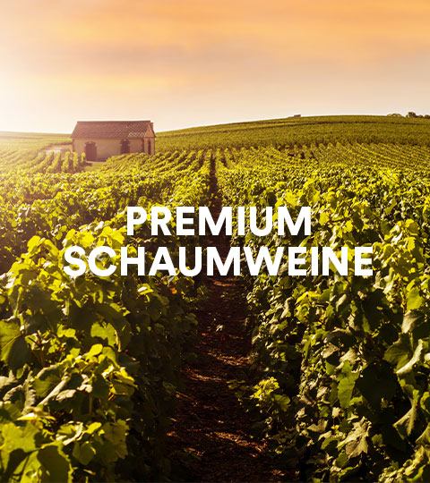 Premium Schaumweine