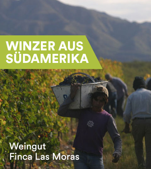 Winzer aus Südamerika