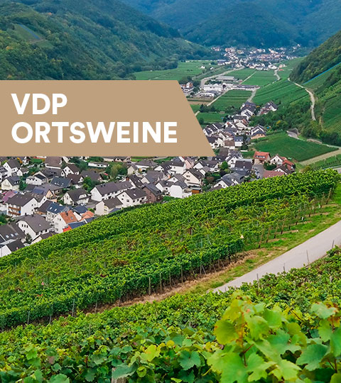 VDP Ortsweine