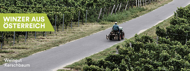 Winzer aus Österreich