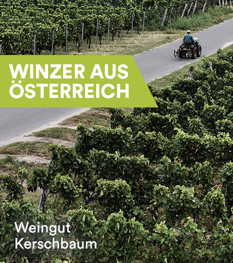 Winzer aus Österreich