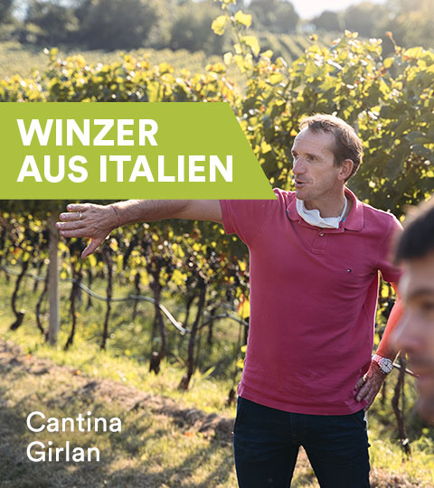 Winzer aus Italien