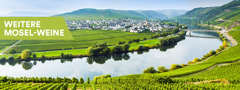 Mosel Weine