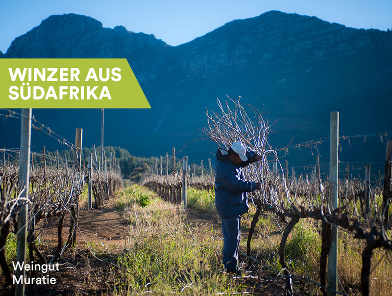 Winzer aus Südafrika