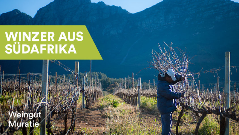 Winzer aus Südafrika