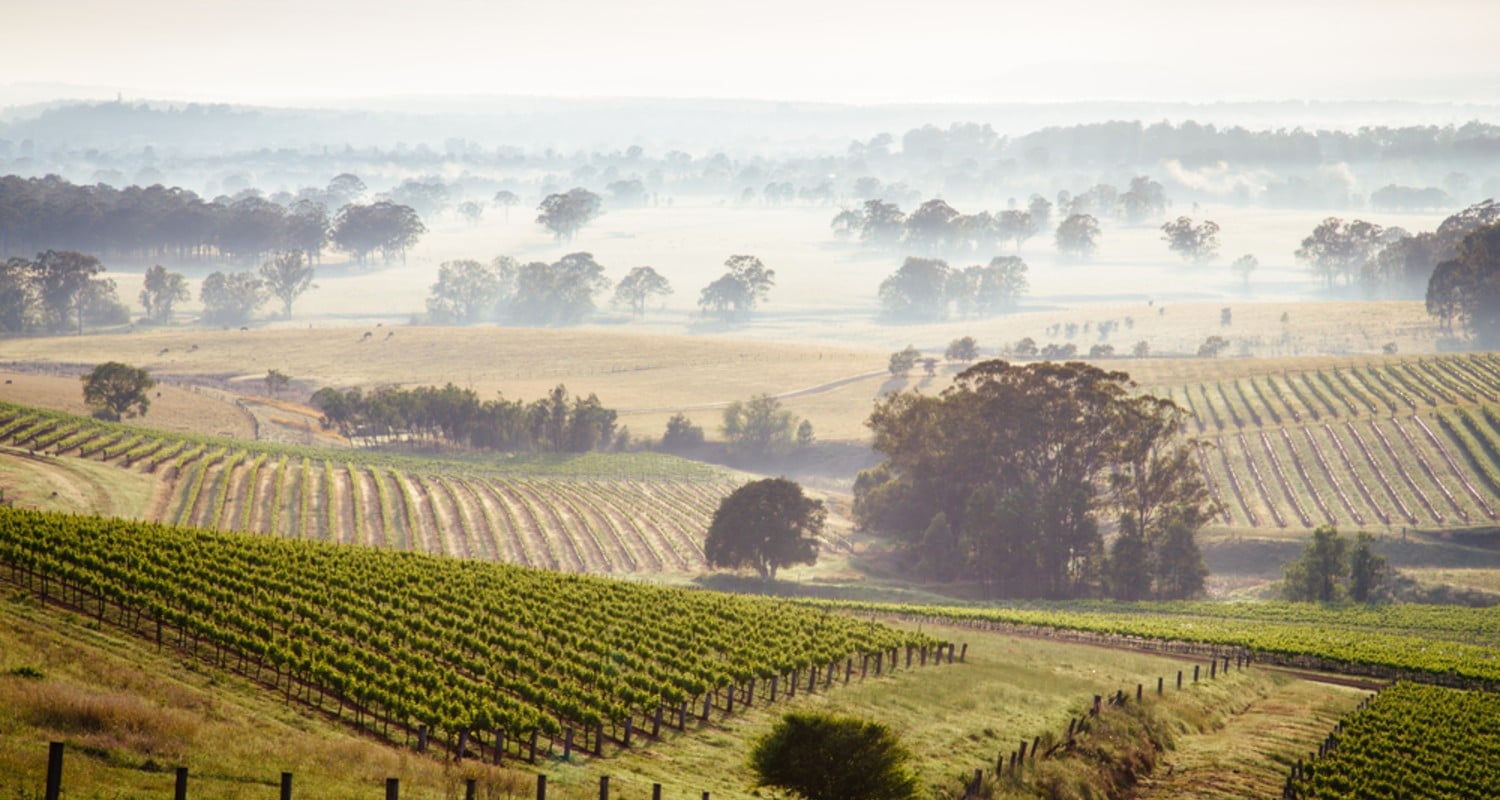 Weinberge Australien