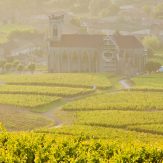 Weinland Frankreich