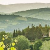 Weinland Italien