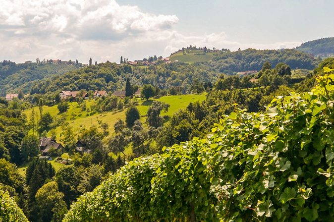 Weinland Österreich