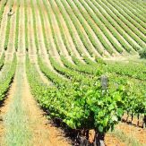 Alentejo