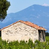 Côtes du Ventoux: leichte und fruchtige Jungweine aus Frankreich