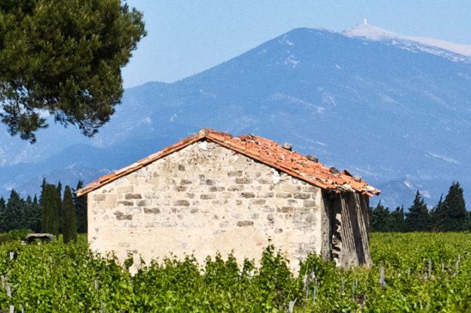 Côtes du Ventoux: leichte und fruchtige Jungweine aus Frankreich