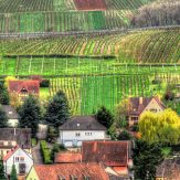 Elsass