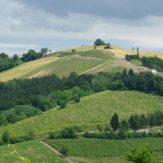 Lombardei: Spitzenweine aus dem Norden Italiens