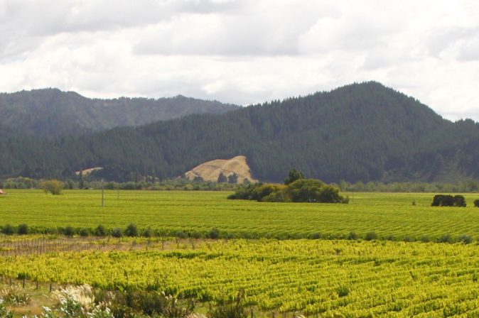 Weinregion Marlborough