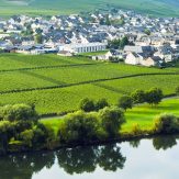 Weinregion Mosel