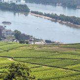 Weinanbauregion Rheingau