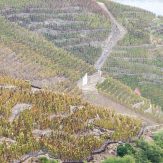 Rhône: Rotweine der Spitzenklasse