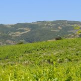 Sardinien