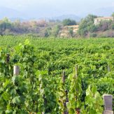 Weinregion Sizilien