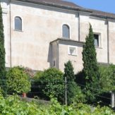 Tessin: Weinanbau im Süden der Schweiz