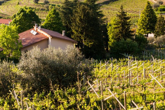 Valpolicella: das Tal der vielen Weinkeller