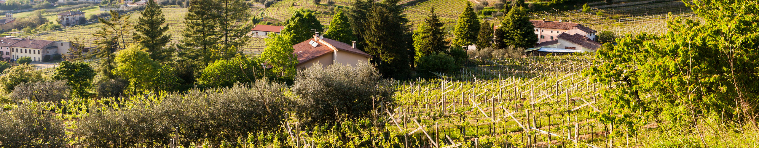 Valpolicella das Tal der vielen Weinkeller » Weinfreunde Magazin