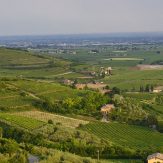 Venetien: bedeutende Weinanbauregion in Italien