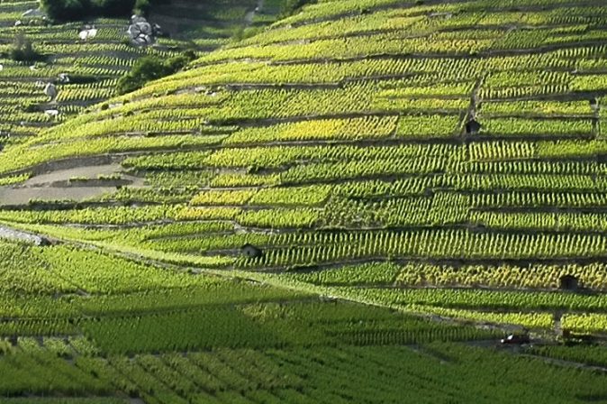 Wallis: Gletscherwein vom Südwesten der Schweiz