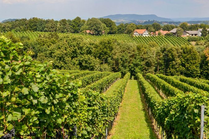 Weinviertel: Kellergassen prägen die österreichische Weinbauregion