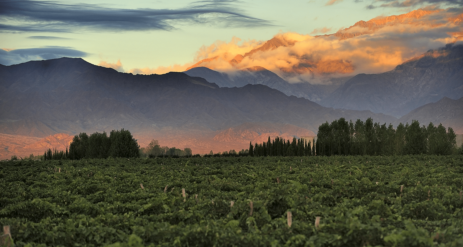 Mendoza