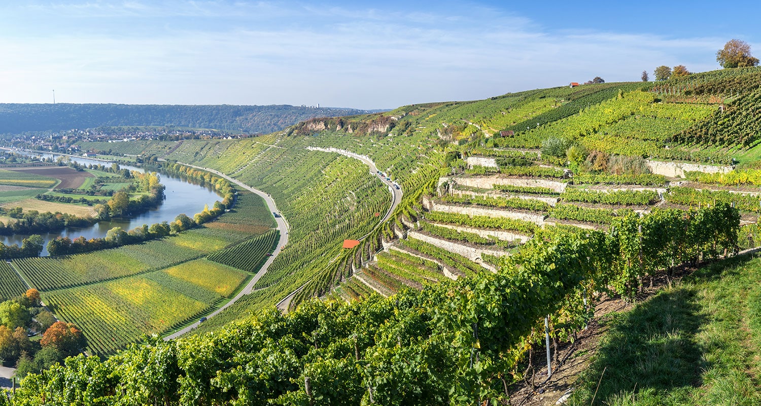 Weinregion Baden