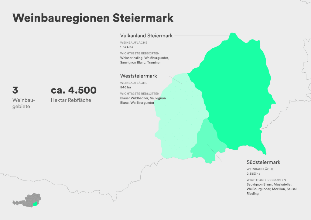 Weinland Österreich - Die Basics & die Region Niederösterreich