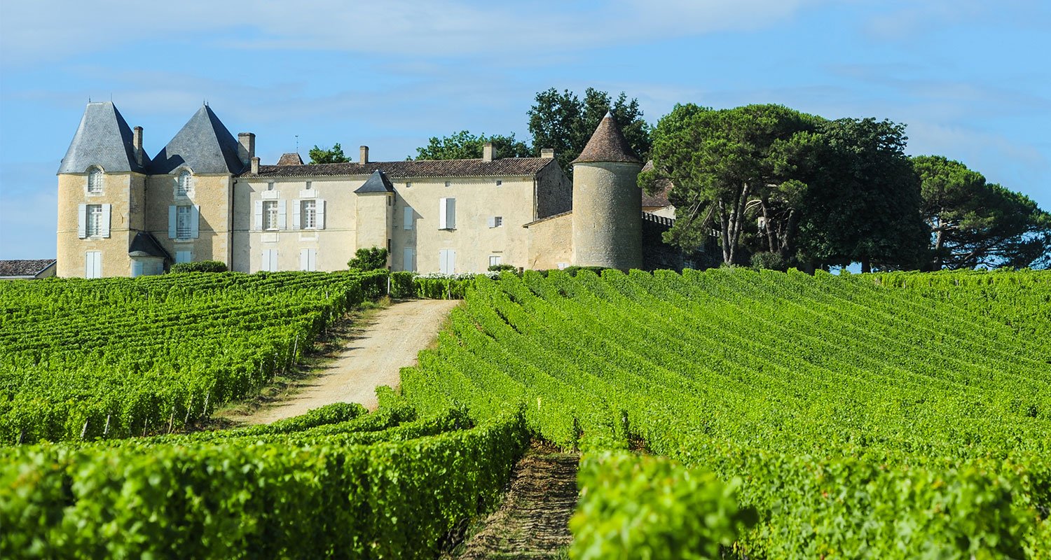 Château d’Yquem umgeben von Reben