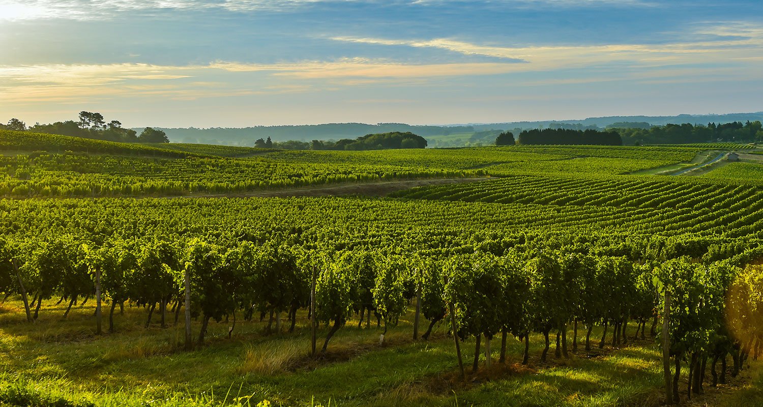 Bordeaux Robert Parker