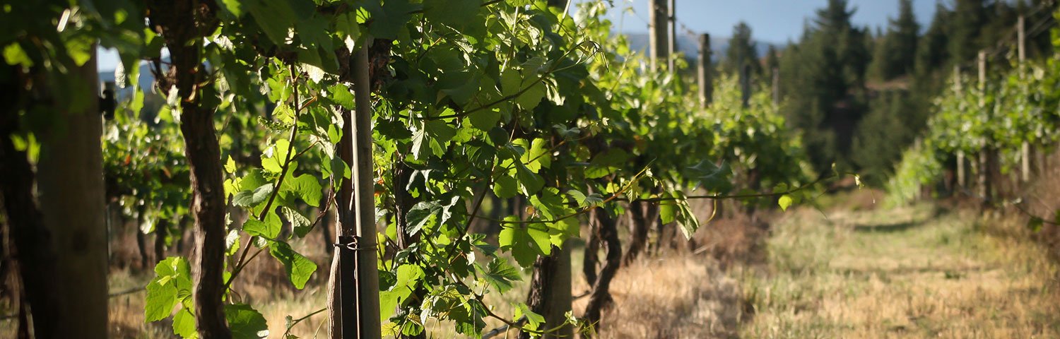 Central-Otago Neuseeland