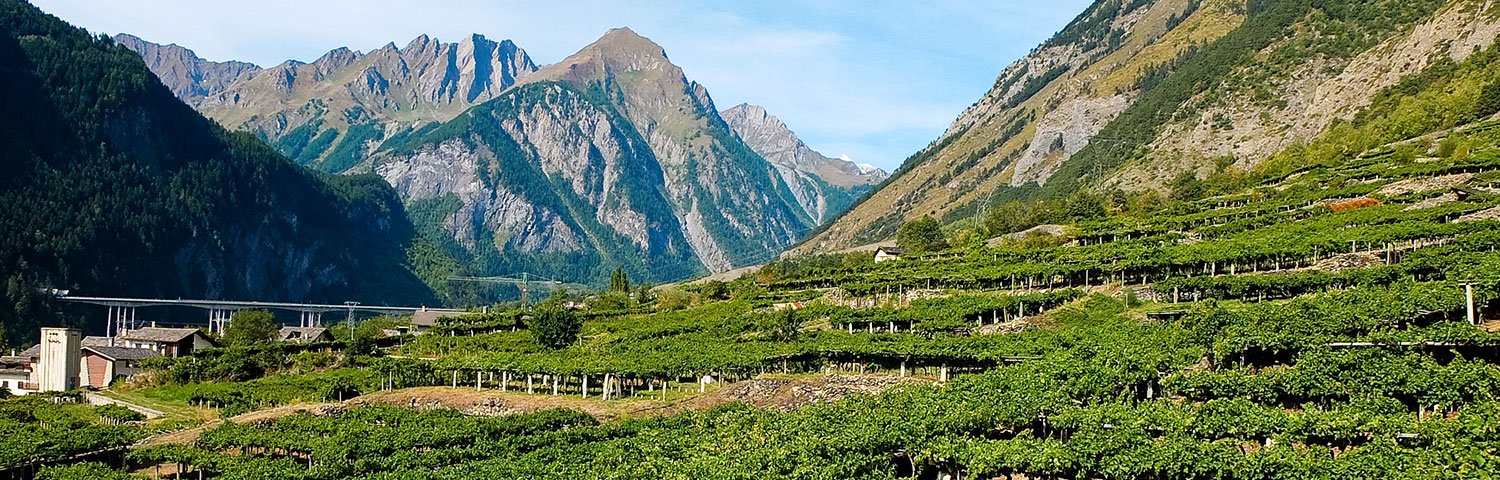 Aostatal Weinland Italien