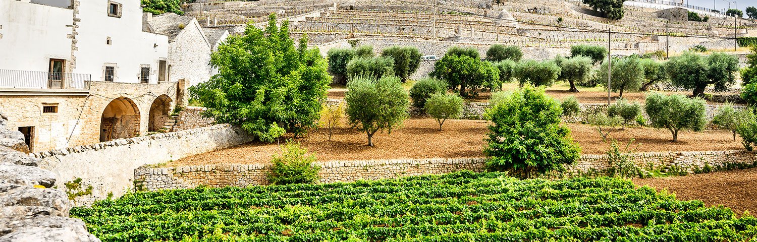 Apulien Weinland Italien