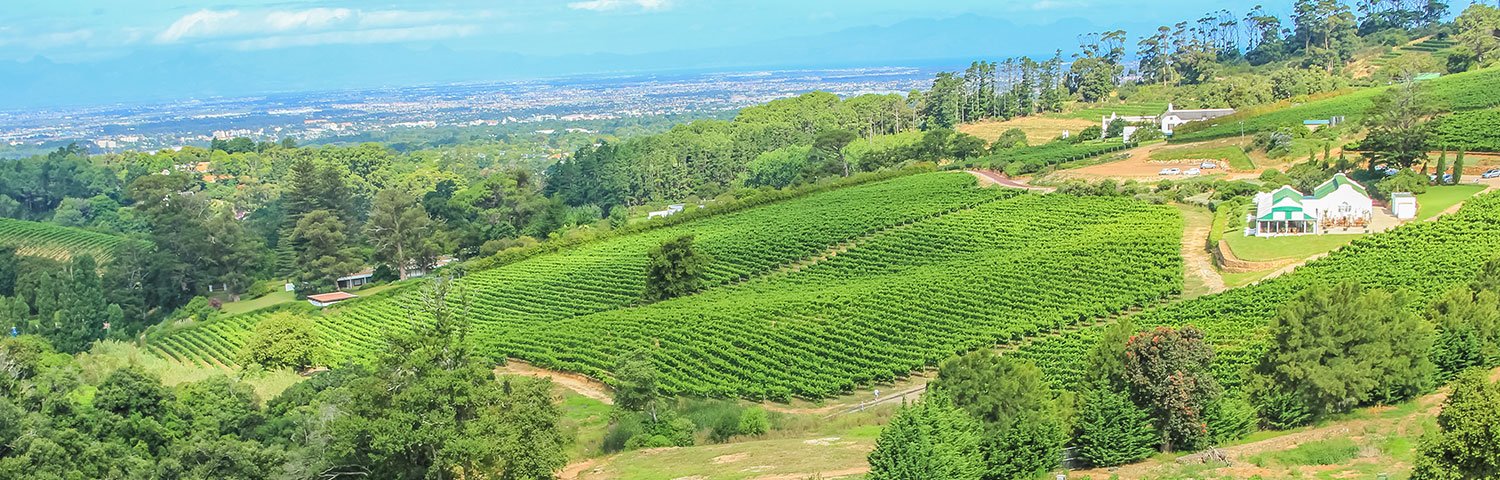 Weinland Südafrika Constantia