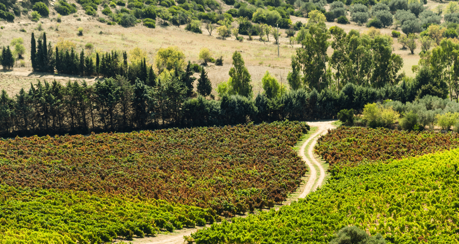 Sardinien